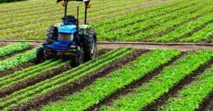 היתרונות והחסרונות של סוגים שונים של טרקטורים לחקלאות